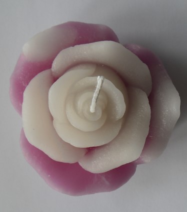 Rosenkerze violett/weiß (9cm)