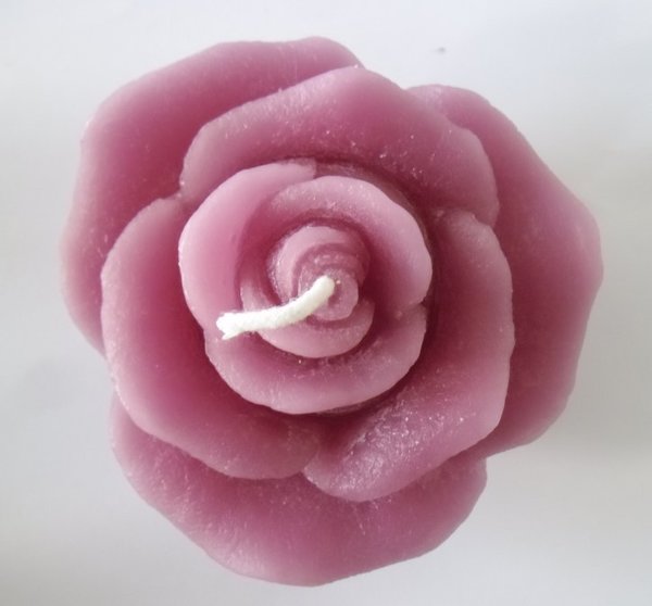 Rose violett