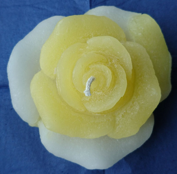 Rosenkerze weiß/gelb (9cm)