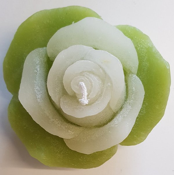 Rosenkerze grün/weiß (9cm)