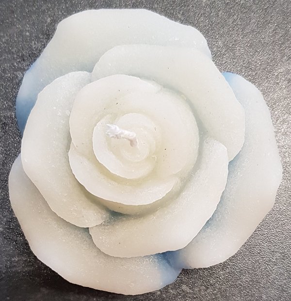 Rosenkerze weiß/eisblau (9cm)