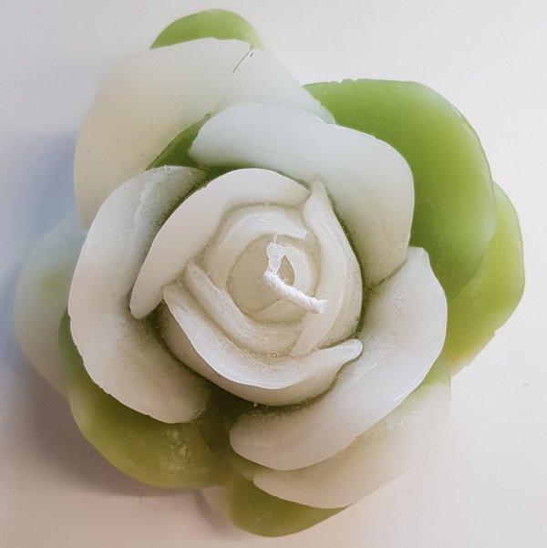 Rosenkerze grün/weiß (11cm)