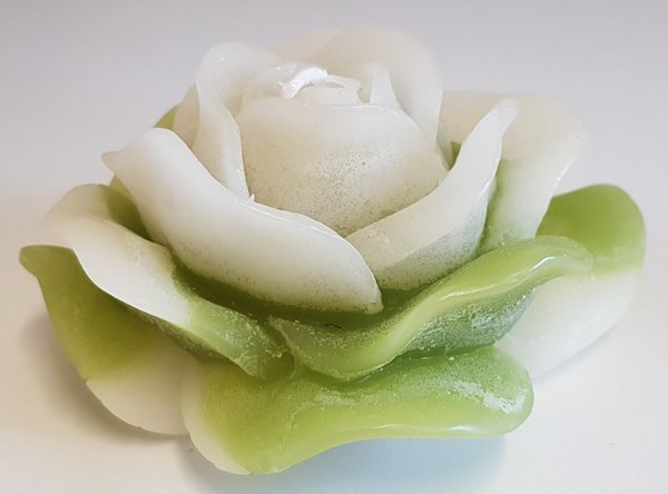 Rosenkerze grün/weiß (11cm)